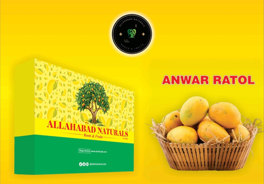 Anwar Ratool 12 no Mango